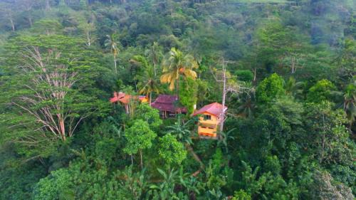 Deniyaya Cabina | Natural Mystic Sanctuary
