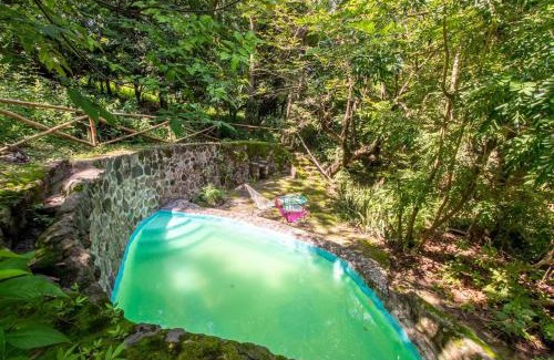 Miacatlán Casa | Natural Retreat & Pet-Friendly Escape