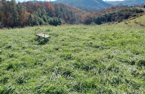 Marshall Cabina | Natural Spring Fed "Cedar Hot Tub" - 120 Private Acres, water fall & trails