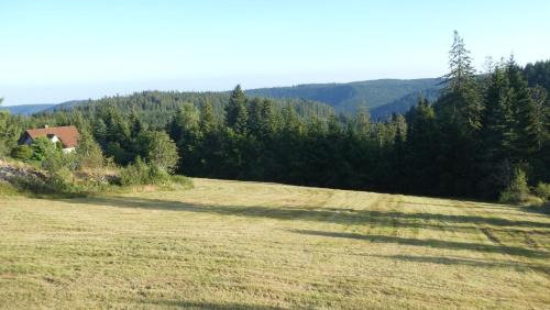 Freudenstadt Apartamento | Naturapartment SCHWARZWALDSEELE Kniebis