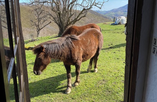 Espelette Casa | Nature & Détente, le Combo de vos Vacances au Coeur de la Montagne Basque !
