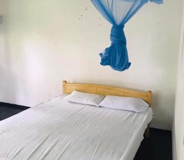 Mirissa Hotel | Nature Inn