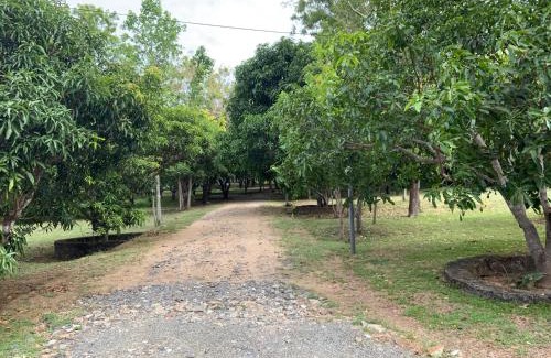 Polonnaruwa Complejo | Nature Resort