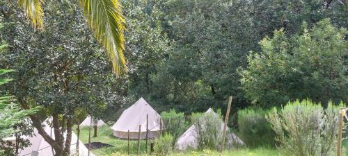 Porto Moniz Otro | Nature Retreat - Laurel Forest