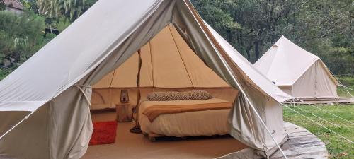 Porto Moniz Otro | Nature Retreat - Laurel Forest