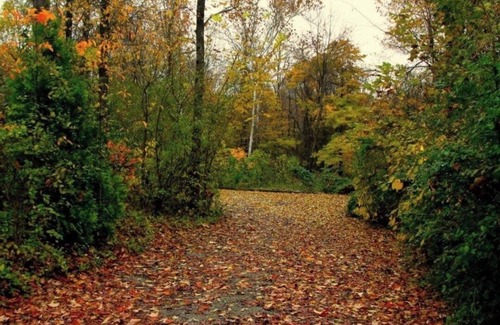 Hillsboro Cabina | Nature's Nook Cabin