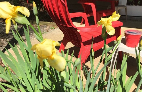 Huddleston Apartamento | Retiro de la naturaleza - Kayakers, Fishermen & Nature Lovers Paradise!