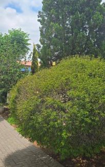 Greater Johannesburg Metropolitan Area Casa | Nature's Retreat