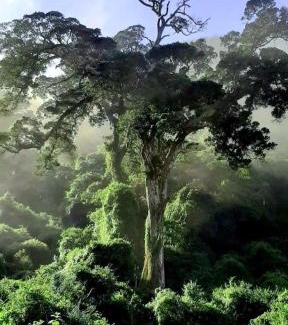 Nature's Valley Casa | Nature's Valley Health Retreat A Hide away in the Forest