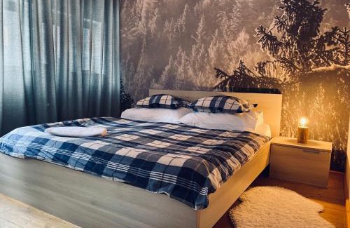 Harrachov Chalet De Esquí | Naturepark Resort
