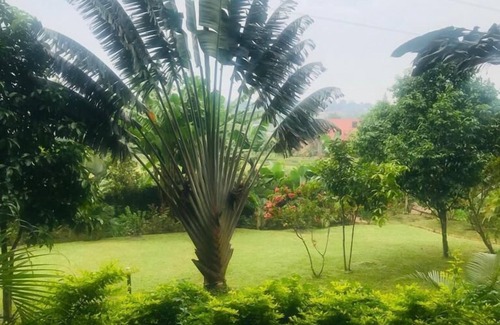 Kampala Cama Y Desayuno | Natures Guesthouse