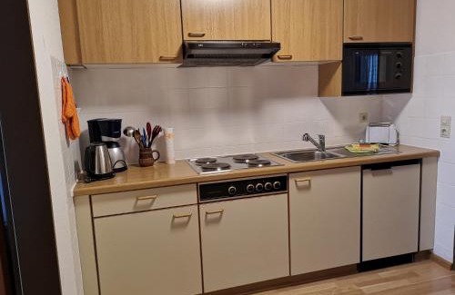 Menzenschwand-Hinterdorf Apartamento | Naturidyll am Fluß - Ferienhaus Albmatte - großer Garten zum grillen und entspannen-direkt neben dem Radon Revitalbad mit Sauna und Thermalbecken