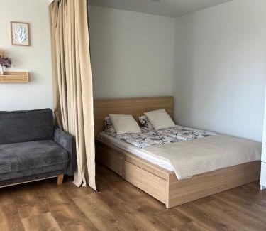 Siauliai County Apartamento | Naujoji Akmene Center Apartment