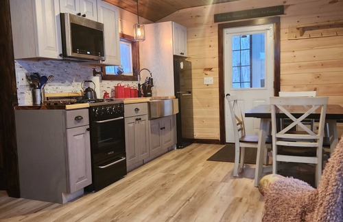 Rooseveltown Cabina | Nauti river cabin on Deer river Brasher with A/C and wifi