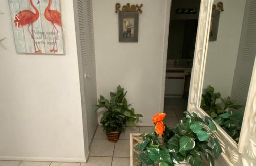 Bayview Apartamento | Nautilus Cottage Beach