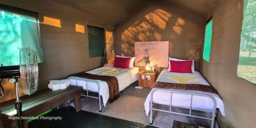 Phalaborwa Otro | NDZUTI BUSH CAMP