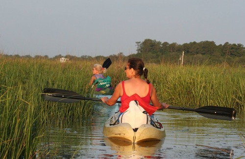 Townsend Casa | Near Shellman Bluff and Harrisneck Wildlife preserve. Fishing, Kayaking, Birding