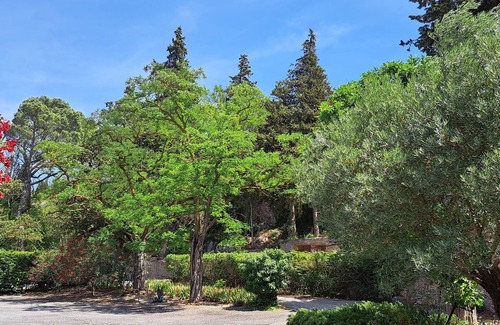 Narbonne Casa | En el corazón de nuestra finca, la calma y el encanto, con aire acondicionado