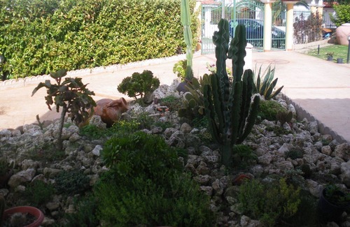 Drapia Apartamento | Cerca de Tropea, Apartamento en vacaciones en Villa Pamela, (Camelia) 4/6 plazas.