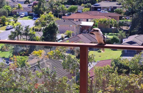 Coffs Harbour Apartamento | Neat 1 Bedroom apartment with Mountain Views