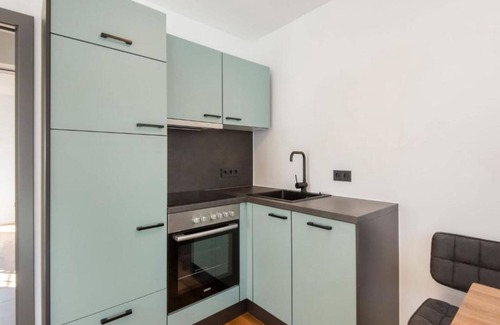 Dienten am Hochkoenig Apartamento | Neat apartment with a sunny balcony