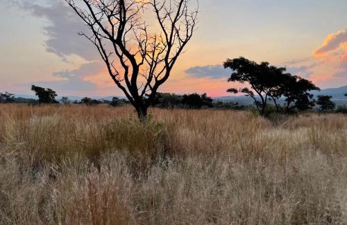Buffelspoort Cabina | Nectar Game Lodge