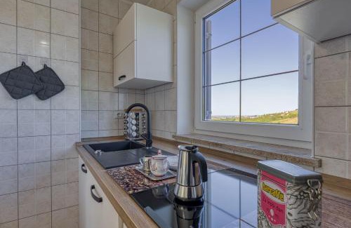 Brda Apartamento | Neda Apartment In Krasno Among Vineyard - Happy Rentals