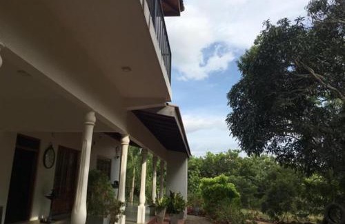 Pallama Casa | Neem Tree Villa