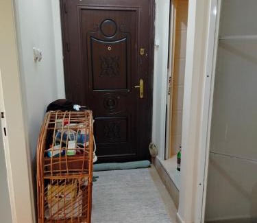 Mezetli Apartamento | Nehir home