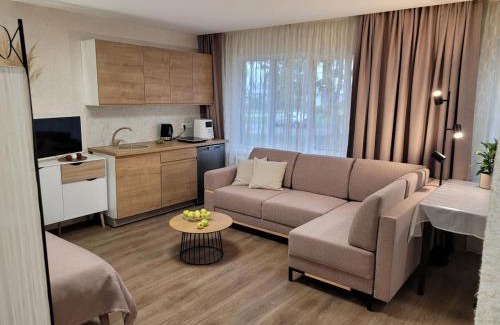 Jekabpils Apartamento | Nelly's Suite