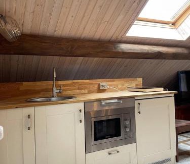 Palanga Apartamento | Nemirsetos apartamentai