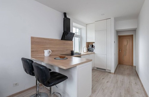 Old Town Apartamento | Nemunas River View by Polo Apartments