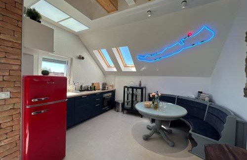 Csopak Apartamento | NEON Apartman Csopak Balaton, large botanical garden, bicycles, pet&family friendly, outside kitchen,