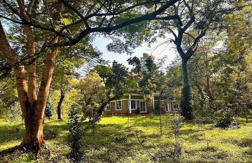 Kushalnagar Casa | Nephila Farm | CA2 | Quiet | Remote | Nature Haven