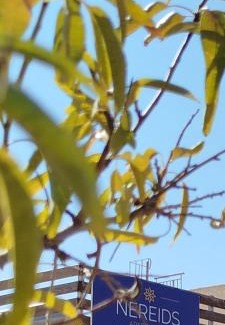 Messini Apartamento | Nereids Apartments-Pronoe