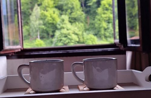 Mojkovac Apartamento | Nest for rest