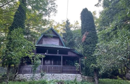 Sotrile Casa | Nest in the Nature