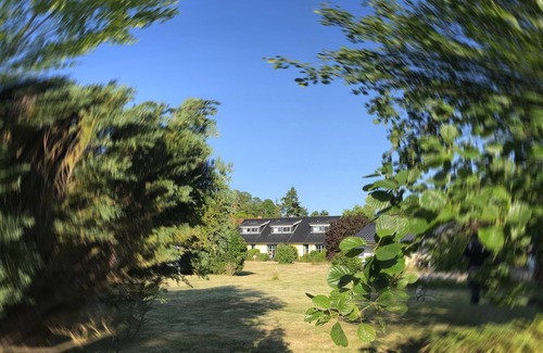 Tewel Casa | Neu! Ferienhaus "bug" Urlaub mit Hund!