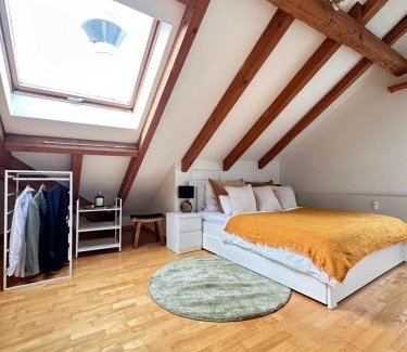 Winterthur Apartamento | Neu! Gemütliche 2,5 Zimmer Wohnung in Winterthur