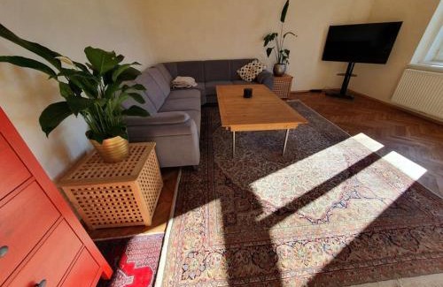 Steyr Apartamento | Neu renovierte Altbauwohnung im Herzen von Steyr 100qm