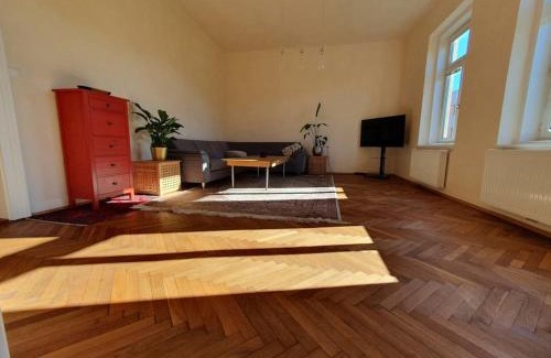 Steyr Apartamento | Neu renovierte Altbauwohnung im Herzen von Steyr 100qm