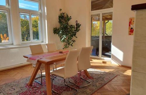 Steyr Apartamento | Neu renovierte Altbauwohnung im Herzen von Steyr 100qm