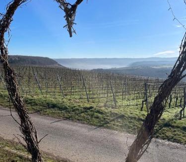 Bekond Apartamento | Neue Fewo mit Weinbergsblick - Urlaub im Wein- und Ferienort Bekond