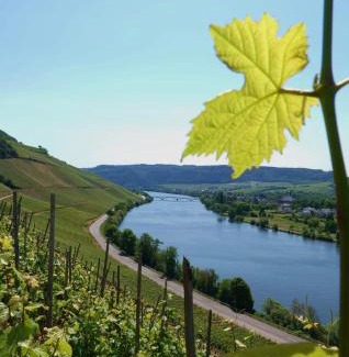 Bekond Apartamento | Neue Fewo Mosel-Glück - Urlaub im Wein- und Ferienort Bekond - Direkte Autobahnanbindung nach Trier & Luxembourg