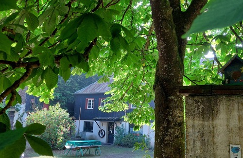 Immerath Apartamento | Neumühle vacation apartment with roof terrace, located in the Üßbachtal valley in the nature reserve