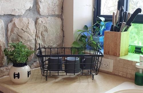 Rosh Pinna Apartamento | Neve Nof