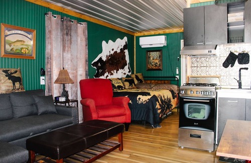 Neal Cabina | NEW! #1 ~ Modern Hunting One Room Cabin ~ Wheelchair Accessible