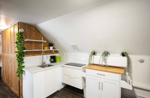 East Flushing Apartamento | NEW!1000 sf Studio Loft! w/ Access to an Outdoor Kitchen Patio & Rooftop Terrace