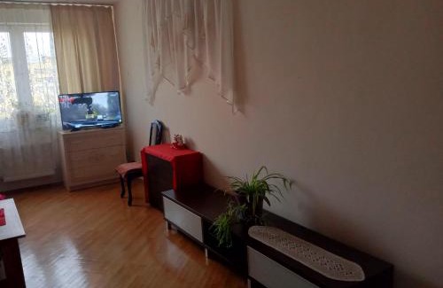 Yavory Apartamento | New apartment Новобудова Стрийська Наукова Автовокзал Гашека Ашан Кінг-Крос Епіцентр