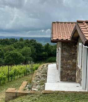 Gradoli Casa | NEW! Apartment immersed in a vineyard